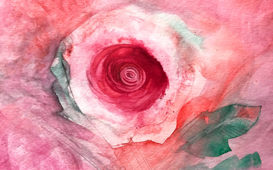 Rosa vermelha  Watercolor  30x30cm  2024